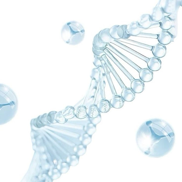 Sodium DNA